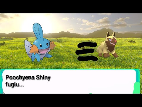 Perdi um Poochyena shiny...