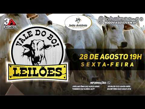 VALE DO BOI LEILOES - INHUMAS GO  - LEILAO VIRTUAL E PRESENCIAL -  28 DE AGOSTO 2026