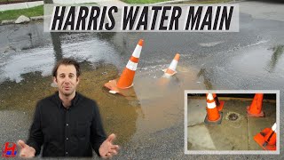 Warning Signs That Your Water Main Has a Leak