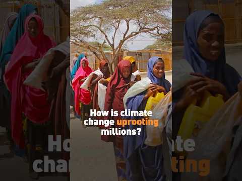 How is climate change uprooting millions?