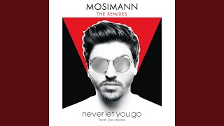 Never Let You Go (feat. Joe Cleere) (Dim Chris Remix)