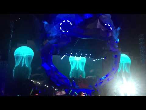 How deep in your love - Dash Berlin @Mayamusicfestival2016