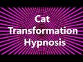 Fiona’s Cat Transformation Hypnosis