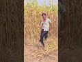 Katro Bajaro Jungle Me Padri Dhoop Kaif Singer Mewati Jaid Meel Dance Mewati Dance Trends