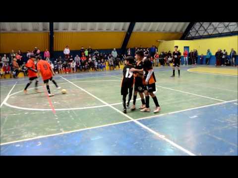COPINHA Fazenda FUTSAL 2016 (SUB 13) projeto Vencer x projeto Primavera (FINAL)