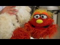 Sesame Street Episode 4630 Afraid Of The Bark HBO Kids