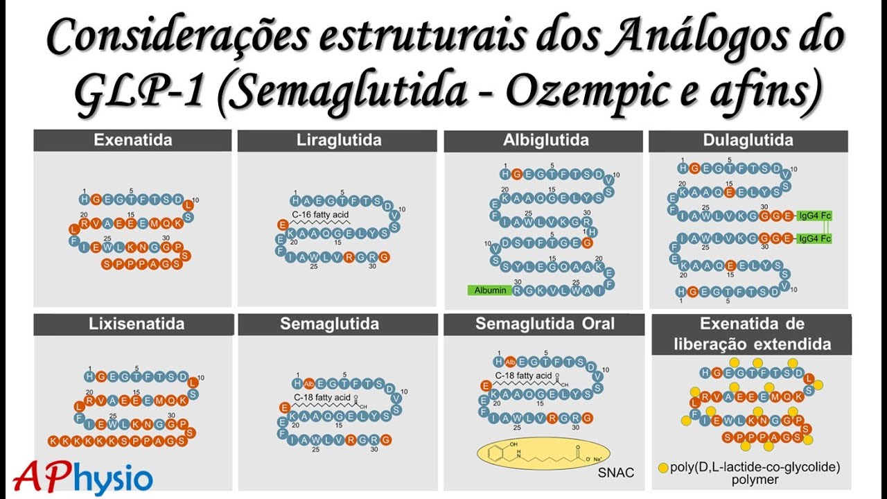 Considerações estruturais dos Análogos do GLP-1 (Semaglutida - Ozempic e afins)