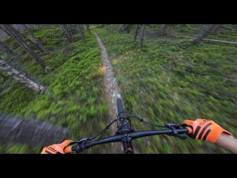 Welcome to Kaupanger  Norway's best  MTB location