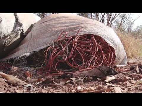 Prefeitura de RC investiga descarte incorreto de lixo