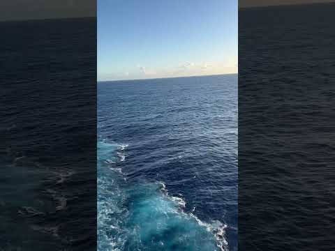 Thumbnail for Cruise Musician Life