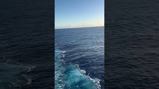 Cruise Musician Life