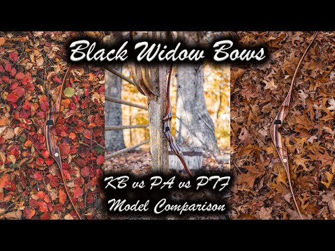 KB vs PA vs PTF Model Comparison