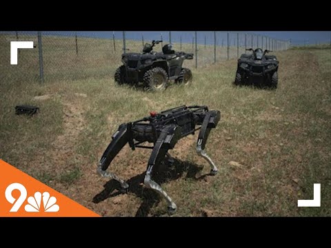 In Other News: Robot dogs could patrol the US-Mexico border, world's heaviest strawberry and Heinz m