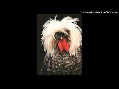 Today's Tango Is... El Pollo Ricardo - Carlos Di Sarli 16-07-1951