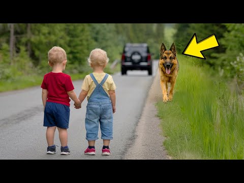 Reicher Mann setzt Zwillinge im Wald aus – doch der Schäferhund sieht alles und handelt mutig!