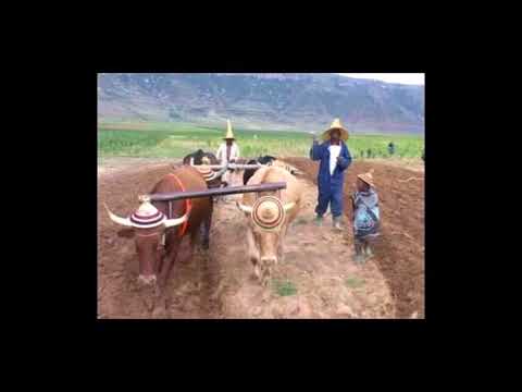 Mant'sa   Ha Moletsane (LESOTHO MUSIC)