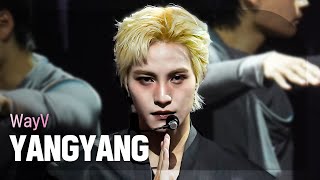 [쇼챔직캠 4K] WayV YANGYANG (웨이션 브이 양양) - Vision Wings (English Ver.) | Show Champion | EP.608 | 260819