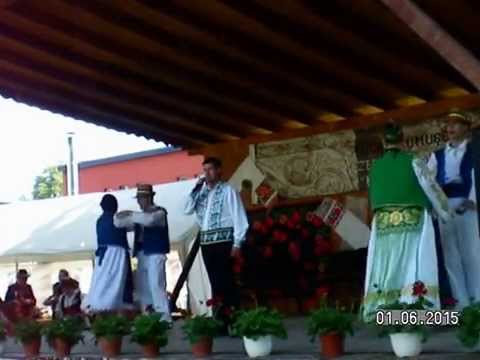 RUGA DE LA FRUMUSENI 2015  - DANI  ZBARCEA - TEIULE CU FRUNZA LATA