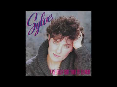 Sylve - I've Only Got You To Blame (The Birmingham Breakdown Mix)