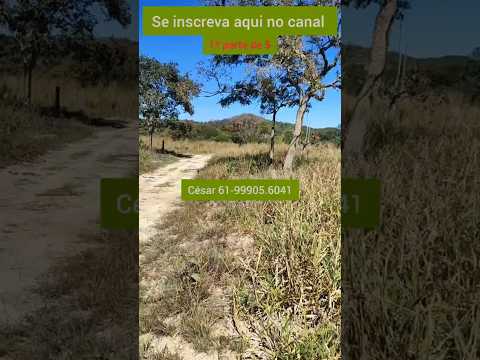 Ótima fazenda de 18 alqueires em Padre Bernardo GO. #brasil ##agro #fazenda #gado #padrebernardo