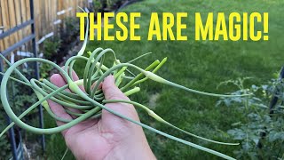 Are You Missing Out On This Garlic Secret?