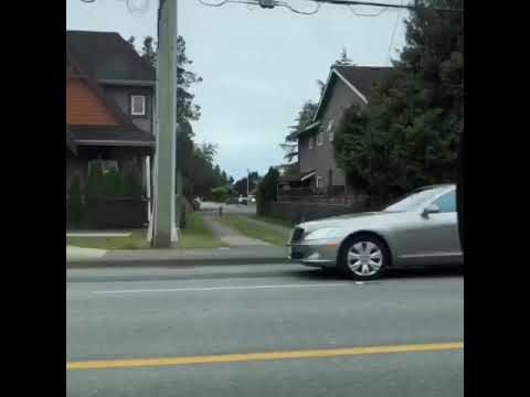 What is it? Mina Jay