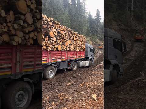 70-ton truck slides down muddy ramp #truck #viral