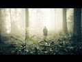 LAST LEAF DOWN - In These Waters (official video ...