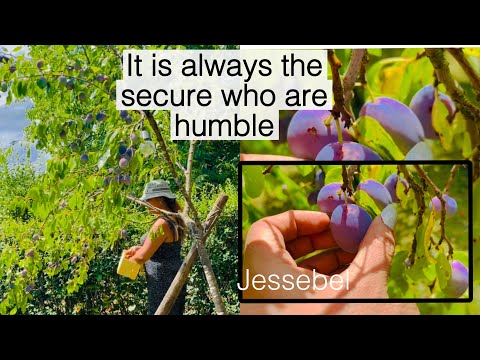 It is always the secure who are humble, i thank you lord for everything.