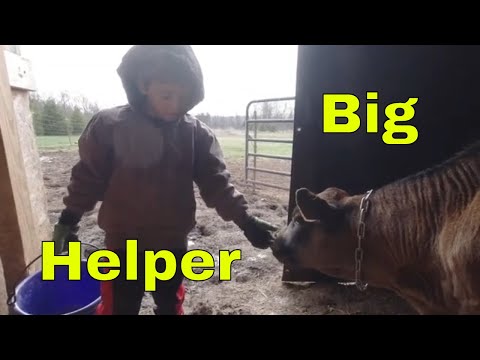 Lockdown Business Opportunities, Farmer In Training, Saving Trees