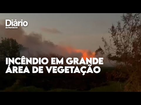 Vídeo incêndio rio cocó