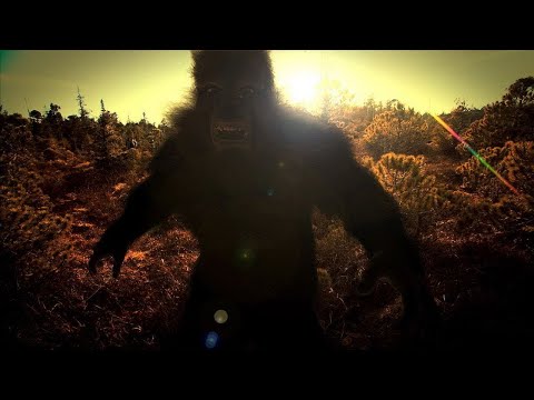 HORROR NIGHT Diventiamo Bigfoot - Bigfoot PT2