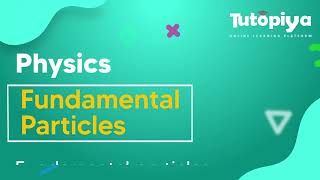 Fundamental particles.