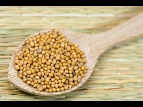 Mustard | Spices in the Kitchen | Andrew Weil, M.D.