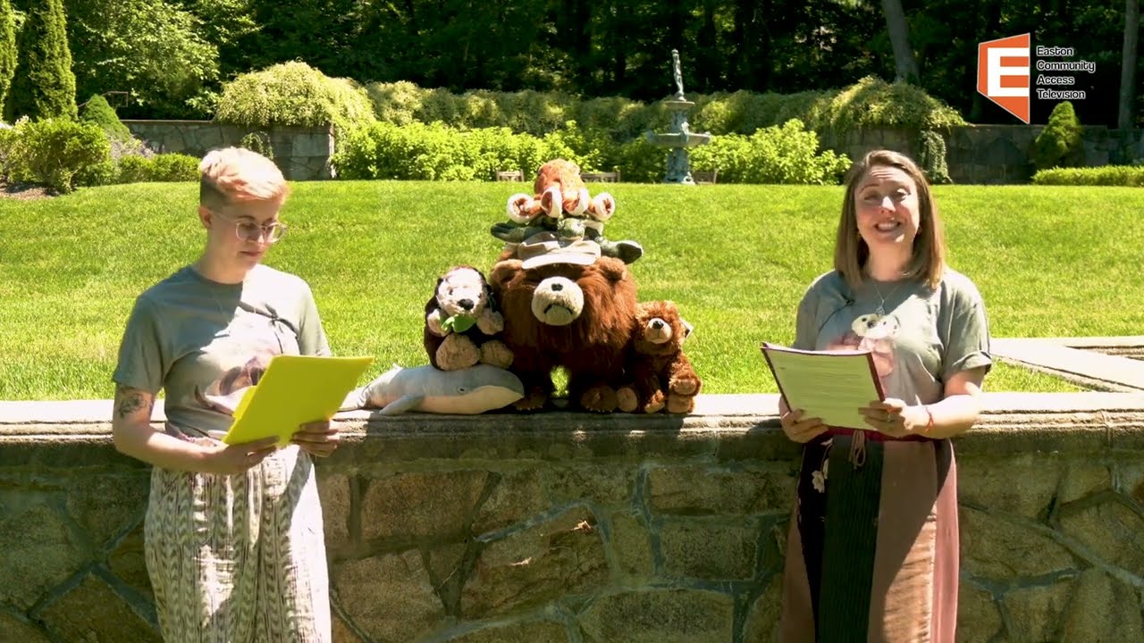 AFL Kids Summer Events '24