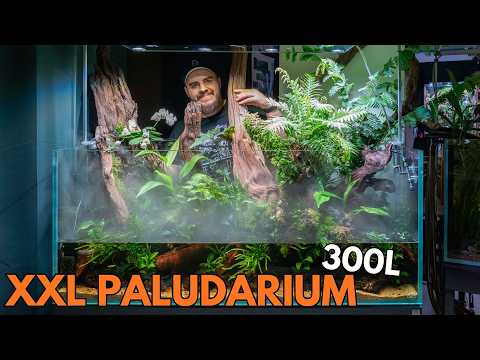 Film 300l paludarium.