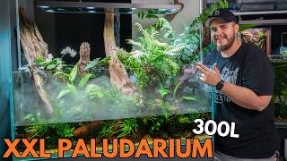 Miniatura filmu z YouTube