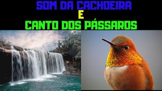 Som de Cachoeira e Canto Dos Pássaros Para Relaxar e Meditar