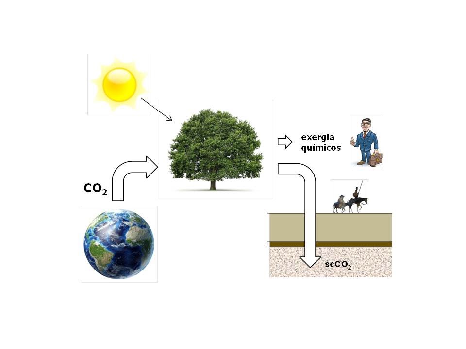 BIORREFINARIAS: máquinas de captura e armazenamento de carbono ?