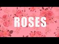 Roses- The Chainsmokers ft Rozes kinetic songs ...