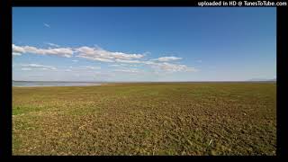 Not Alone (cover) by Bernard Butler