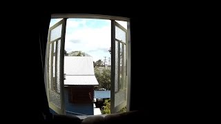 CGX250 - Out the Window / Violent Femmes