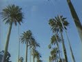 Uicideboy That Just Isn T Empirically Possible Instrumental