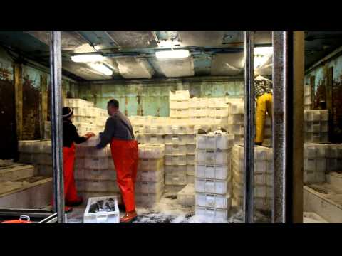 Unloading the catch.