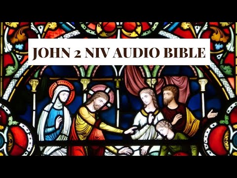 JOHN 2 NIV AUDIO BIBLE(with text)