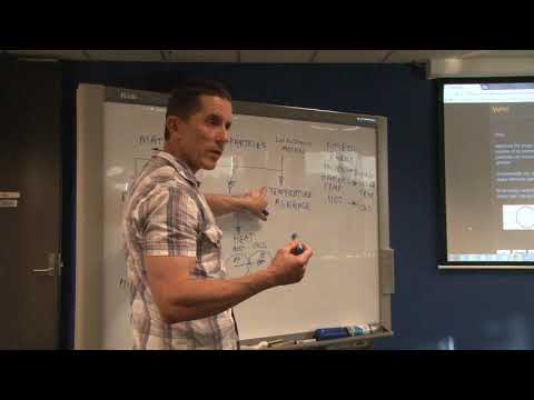 Fire Science: Back to Basics