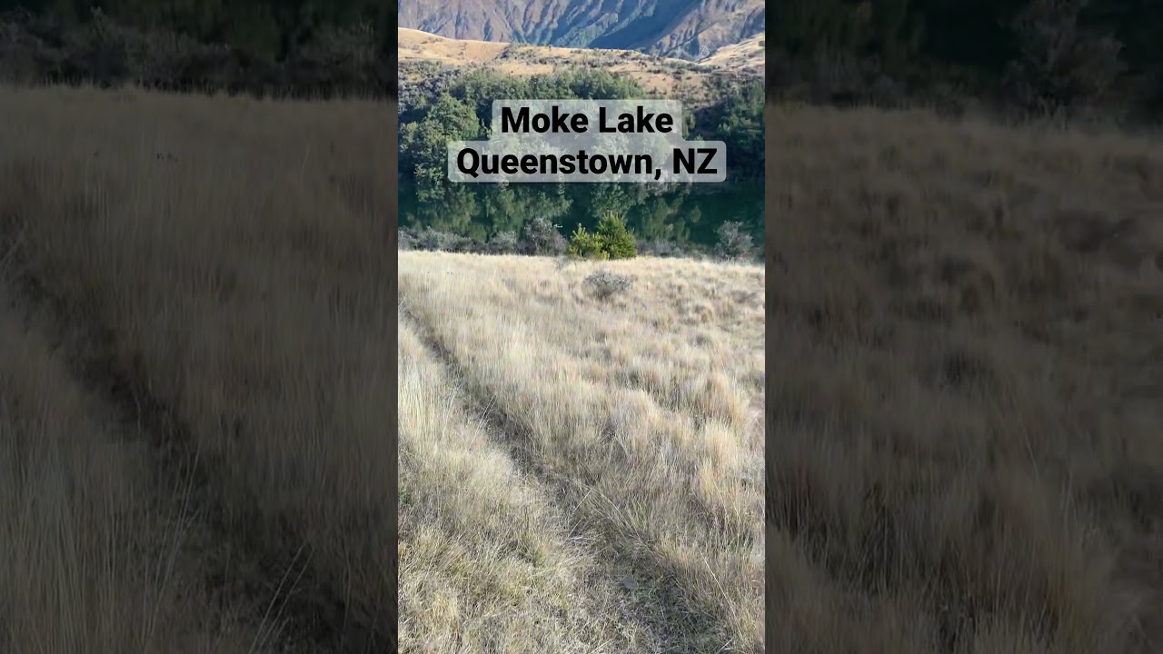 YouTube Short thumbnail