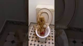 Download lagu Fanta Coca Cola sprite and Mentos || Experiments #shorts #youtubeshorts#viral #trending mp3