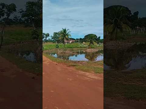 22/03/26, São Luís de Montes Belos, GO.#turismo #viagem #goias #saoluisdemontesbelos