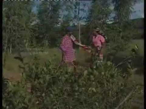 TSIKY TSIDIKA - Mangata-drika